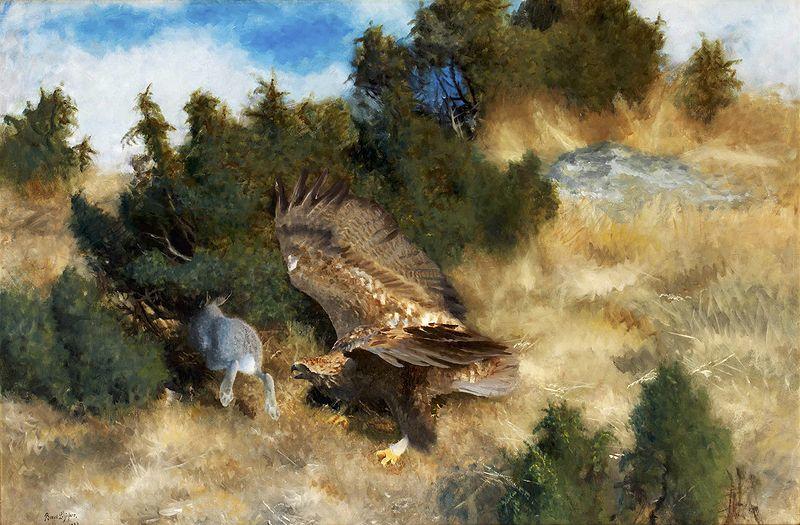 bruno liljefors orn jagande hare Norge oil painting art